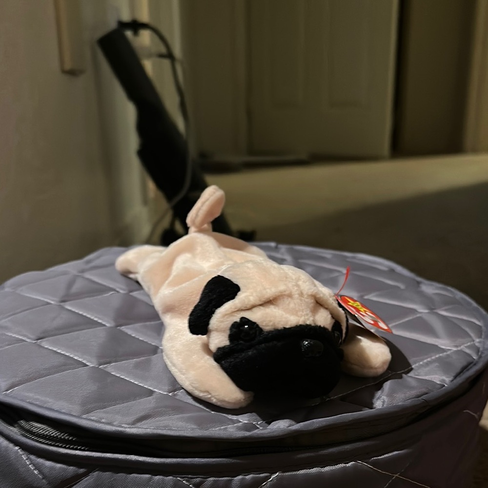 Plush Pug Dog Toy( Ty)